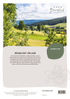 Gutscheinlayout 7