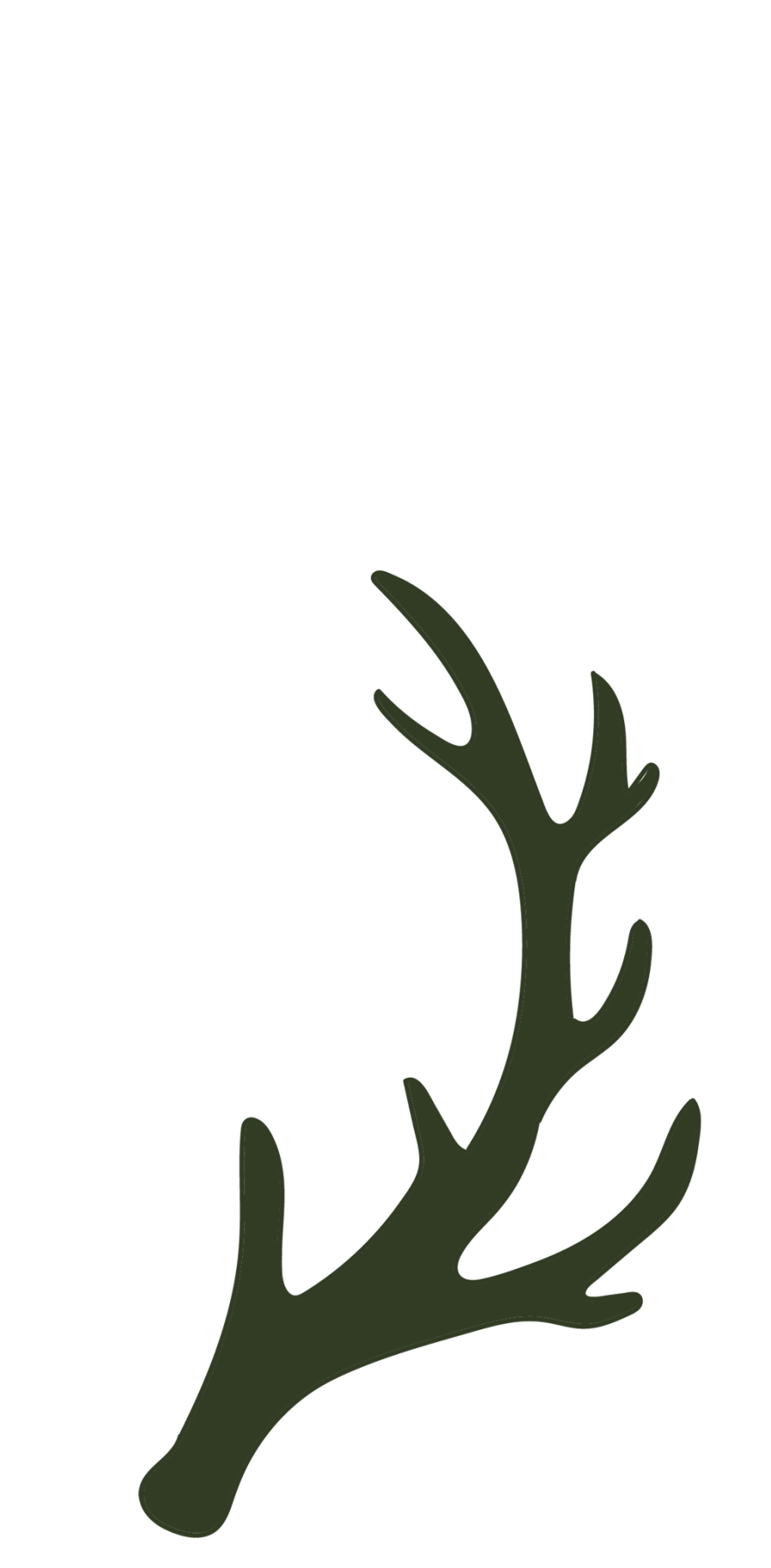 Advent 1